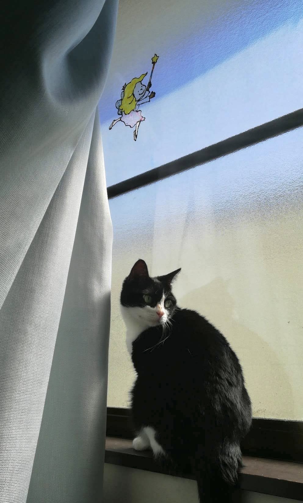 郷司 弓月の画像