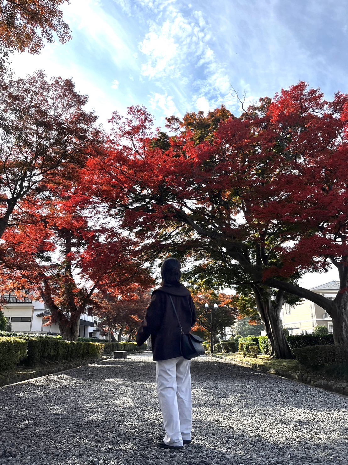 山市 彩乃の画像
