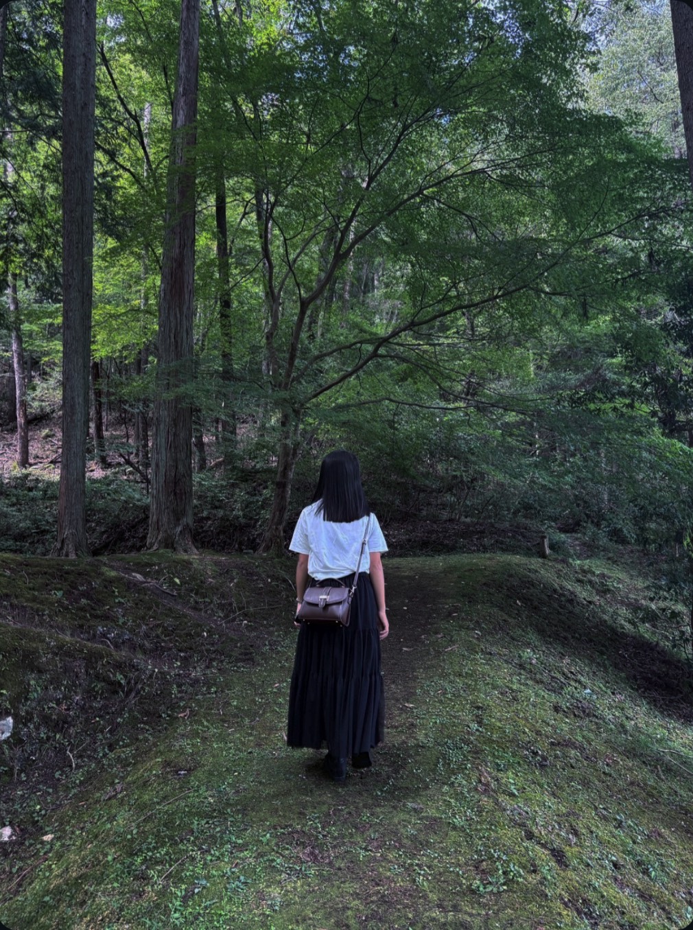 中村　陽の画像